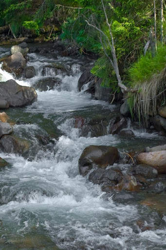 River Live Wallpaper screenshot 1