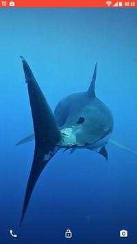 Shark Predator Attack LWP screenshot 3