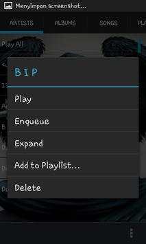 Skull Music Player for you screenshot 2