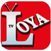 Loya TV - Turk Mobil Canli tv 3
