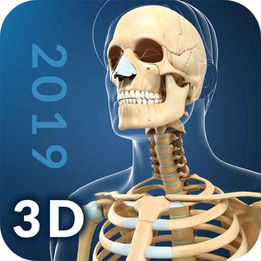 My Skeleton Anatomy आइकन