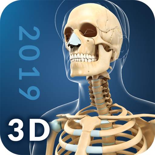 My Skeleton Anatomy 4.1