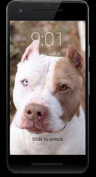 Pitbull Dog HD Lock Screen screenshot 3