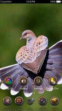 Cute Bird Theme C Launcher screenshot 3