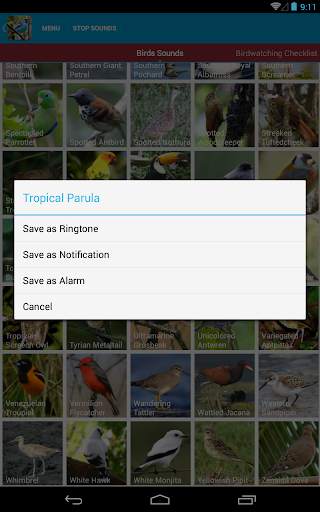 South American Birds Free स्क्रीनशॉट 15