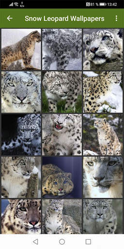 Snow Leopard Wallpapers screenshot 3