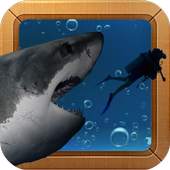 Hungry Angry Shark Attack 1.0.1