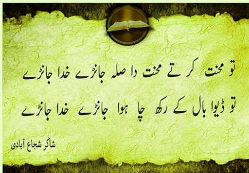 shakir Suja Abadi screenshot 1
