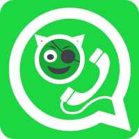 Unseen: No Blue Tick No last seen for whatsapp