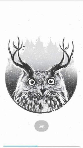 Pretty owls Wallpaper screenshot 4