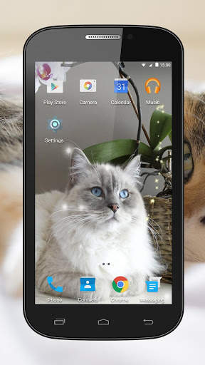 Cats Live Wallpaper screenshot 4