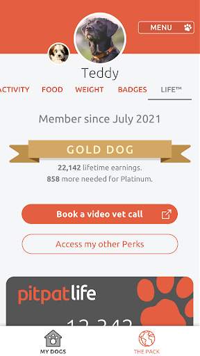 PitPat screenshot 7