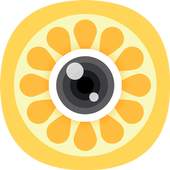 Solow camera 1.0