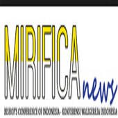 Mirifica News icon