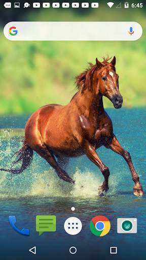 Horse Live Wallpaper 5 تصوير الشاشة