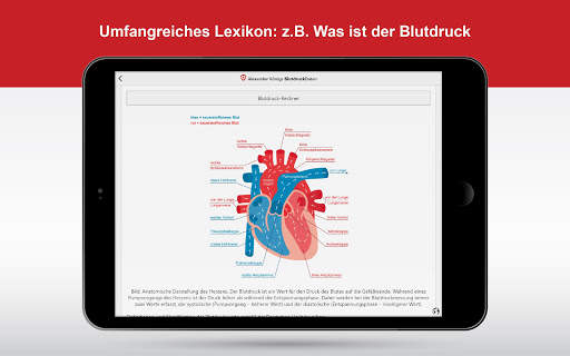 BlutdruckDaten screenshot 6