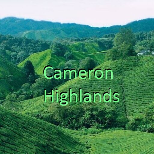 Cameron Highlands Travel icon