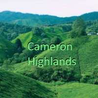 Cameron Highlands Travel logo