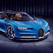 Chiron Driving Game Free logo