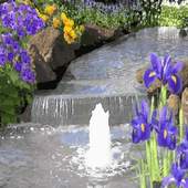 Water Live Wallpaper 1.1