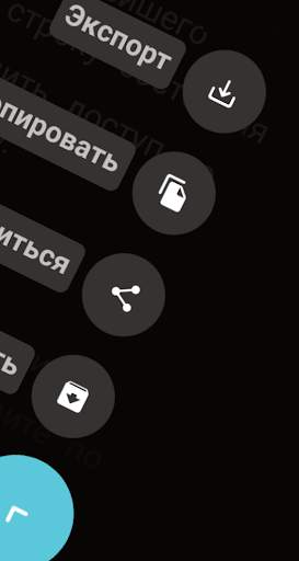 ruff: для заметок на бегу ⚡, набросков и списков скриншот 5