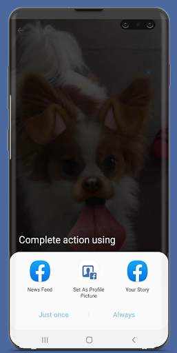 MiniStory : Story & Status Saver screenshot 6