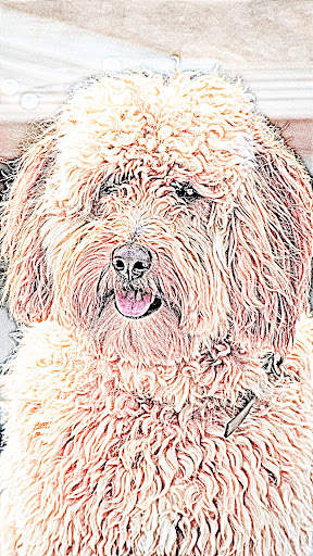 Pencil Drawing - Sketch Effect screenshot 14