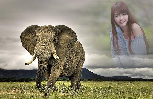 Animal Photo Frames screenshot 3