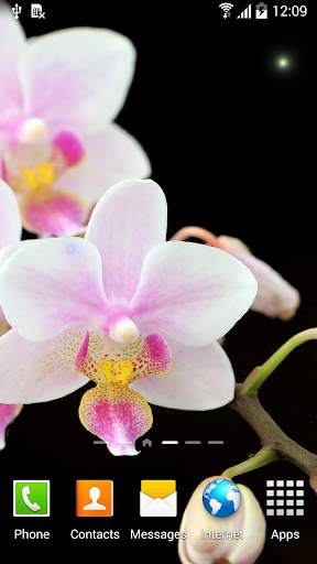 Orchids Wallpaper screenshot 2