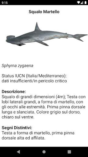 SharkApp screenshot 2