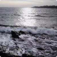 Sunny Waves Live Wallpaper HD logo