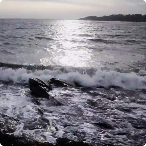 Sunny Waves Live Wallpaper HD 2.0