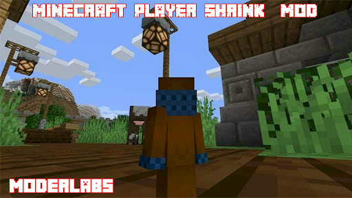 Player shrink mod screenshot 2