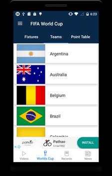 FIFA World Cup screenshot 2