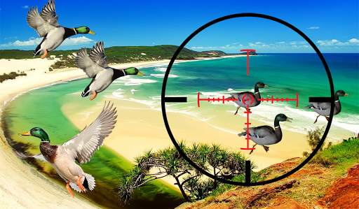 Forest birds hunting season 2: birds hunting game स्क्रीनशॉट 3