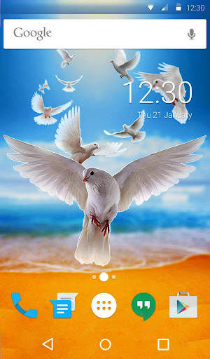 Doves Animated Custom Keyboard + Live Wallpaper screenshot 4