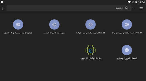 Egypt Traffic Cars and Driving Licences Tickets screenshot 1