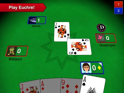 Euchre 3D screenshot 6