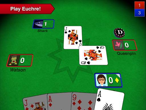 Euchre 3D screenshot 6