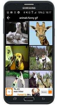 animals funny gif screenshot 4