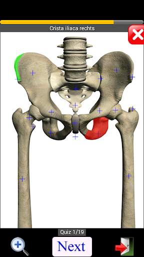 Anatomy Quiz screenshot 7