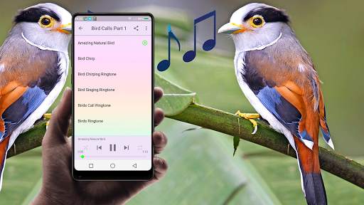 Bird call sounds and ringtones free screenshot 2