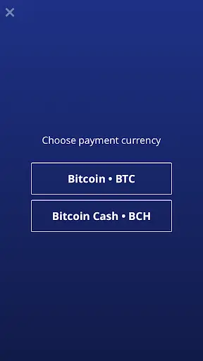 Bitcoin Checkout screenshot 3