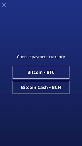 BitPay Checkout screenshot 3