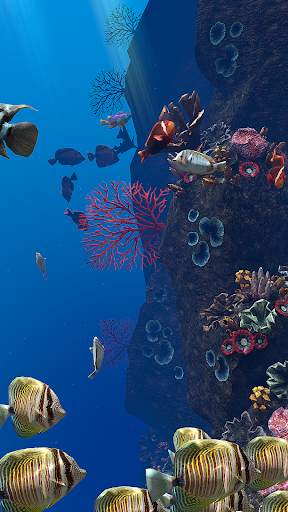 OCEAN AQUARIUM Live Wallpaper FREE screenshot 14