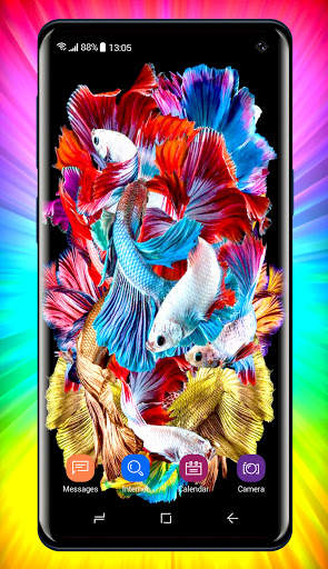 Betta Fish Wallpaper screenshot 1