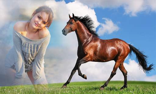 Horse Photo Frame screenshot 3