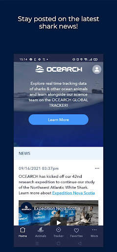 OCEARCH Shark Tracker screenshot 6