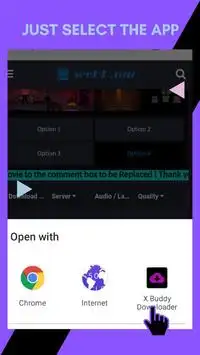 X Buddy Downloader screenshot 1