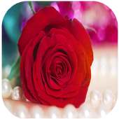 موسوعة صور ورود on 9Apps